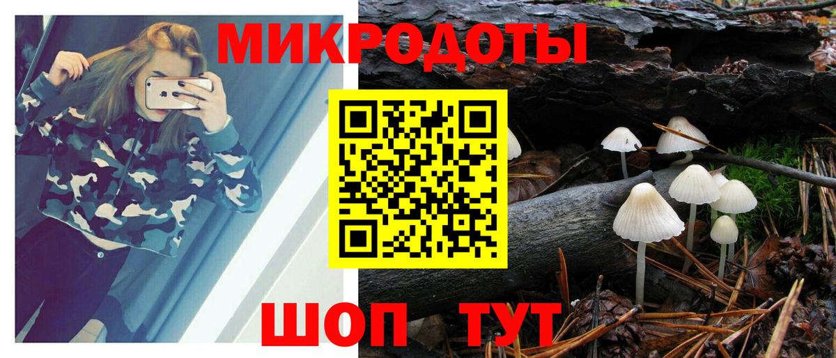 Псилоцибиновые грибы Psilocybine cubensis Ликино-Дулёво